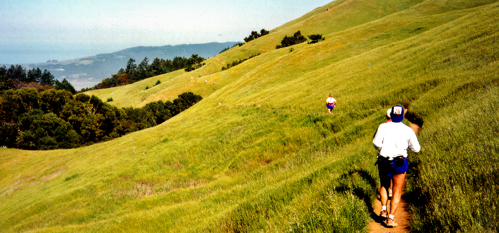 Runners viewed from behind on Coastal Trail during the What, Mi-Wok? Trail 100K race.